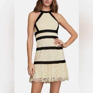 BCBGMaxAzria Cream and Black Striped Lace Mini Dress
